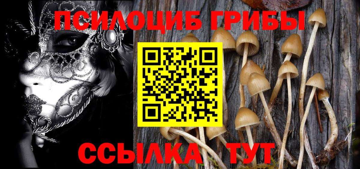 Псилоцибиновые грибы ЛСД Усть-Джегута