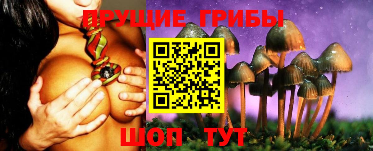 Усть-Джегута  Галлюциногенные грибы Psilocybine cubensis  где купить   Вход с VPN 