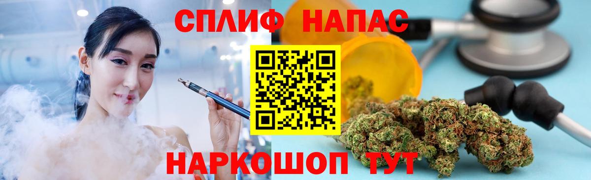 Марихуана план Усть-Джегута